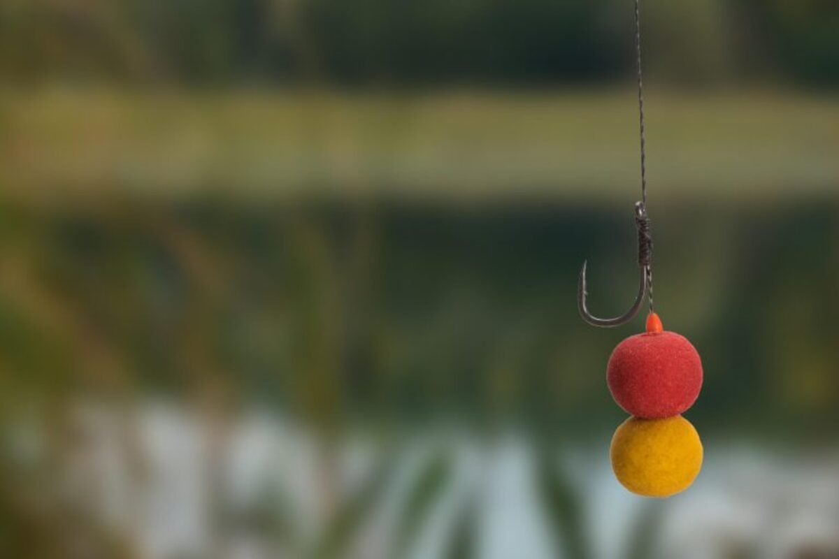 Devant 2 Devant -Mainline || CC Moore Soldes Boutique meilleur bouillete carpe 1